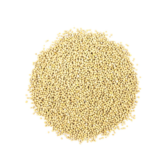 Gorczyca biała ziarno. 500g